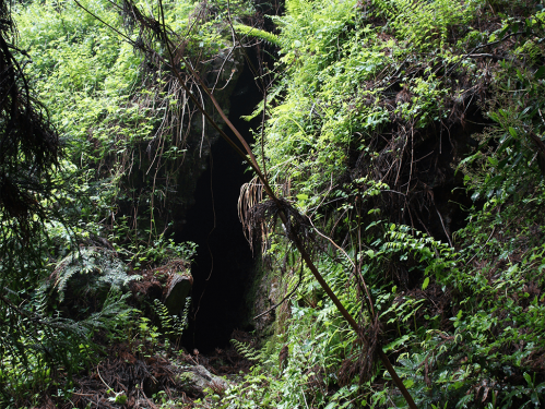 Chase miningの画像