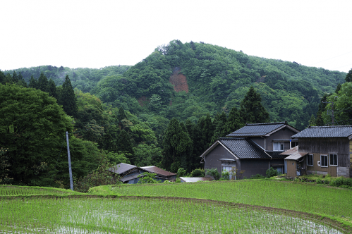 Toramaru-yamaの画像