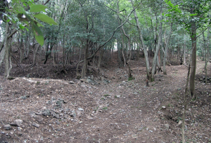 Kami-Aikawa Districtの画像