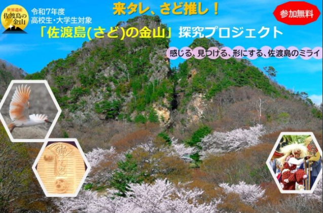 「佐渡島（さど）の金山」探究プロジェクトの画像