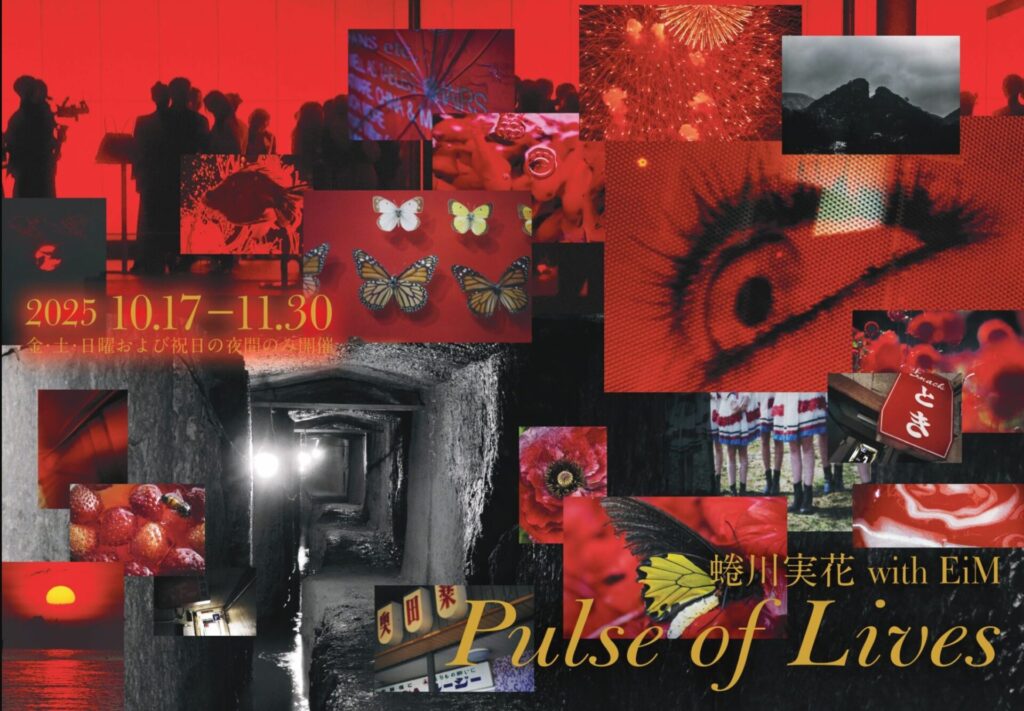 世界遺産× アートプロジェクトの画像