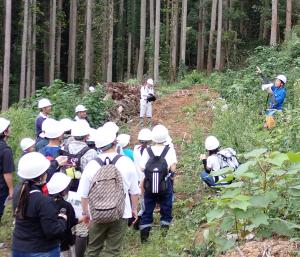伐採見学の現地説明