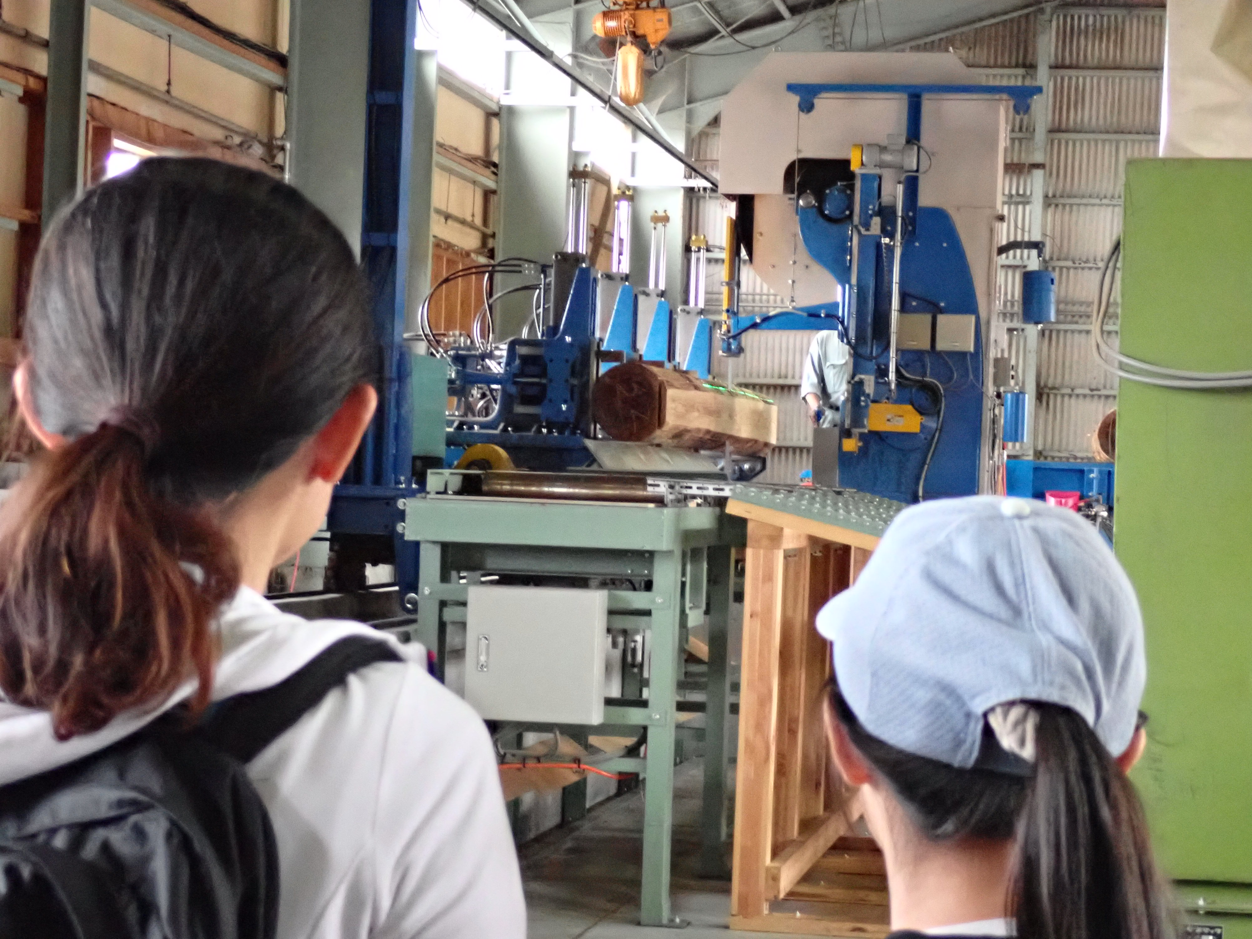 製材見学