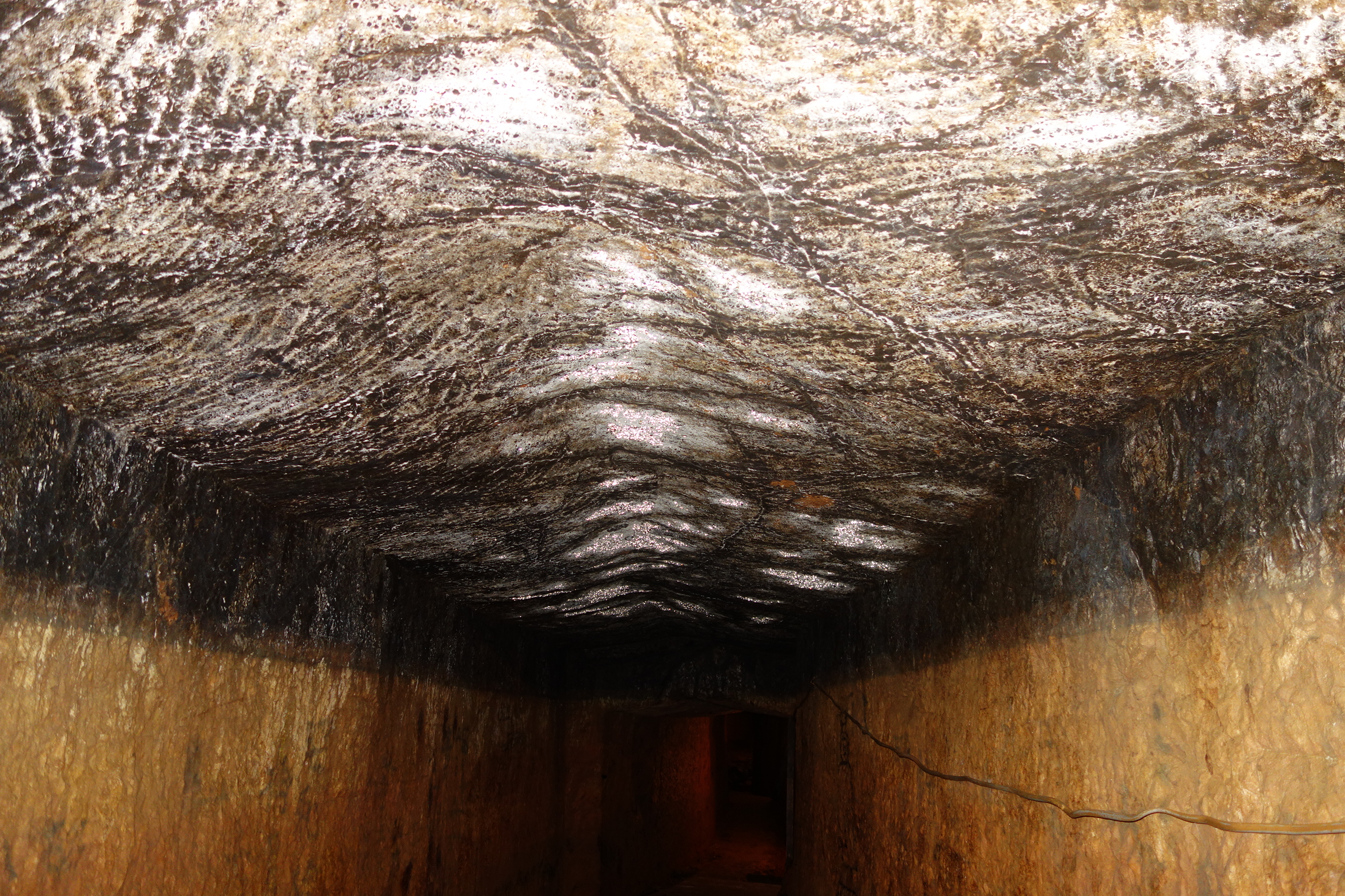 南沢疎水道の画像