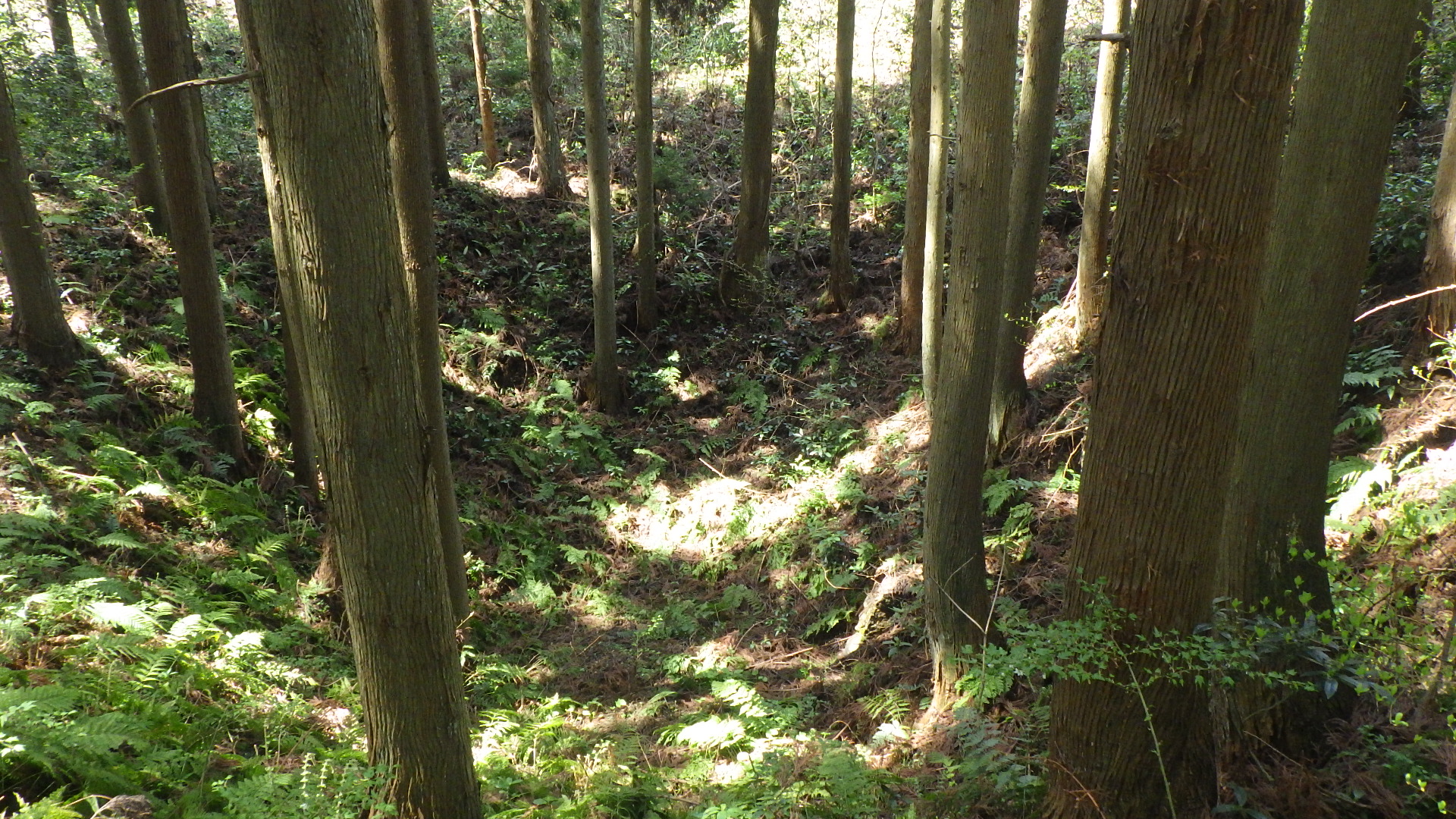 百枚平地区の露頭掘り跡の画像