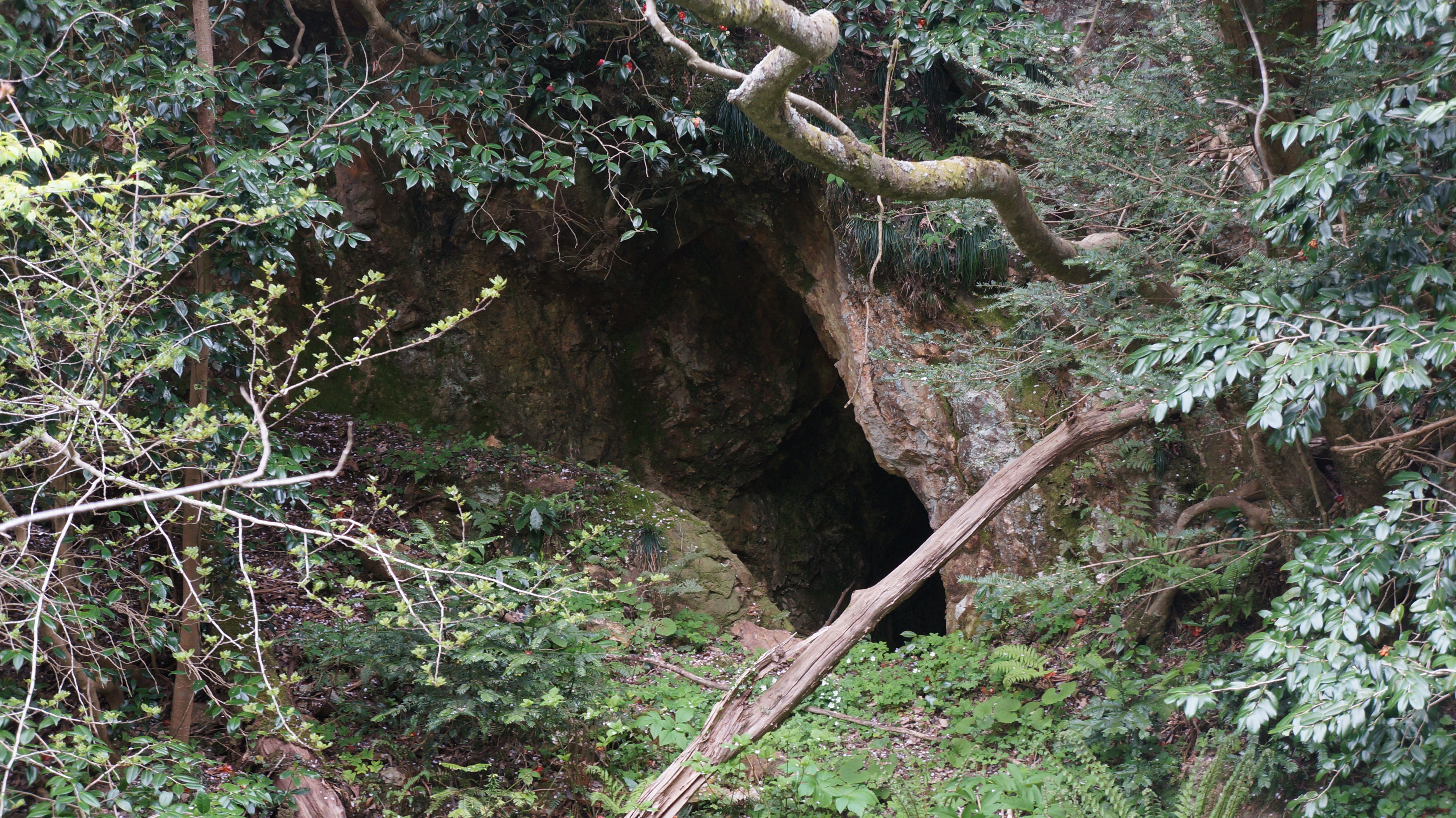 大滝地区の弥喜知間歩の画像