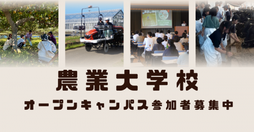 農大OP参加者募集中