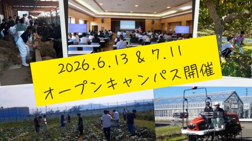 オープンキャンパス告知
