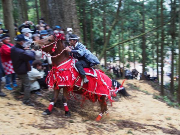 シャングシャング馬