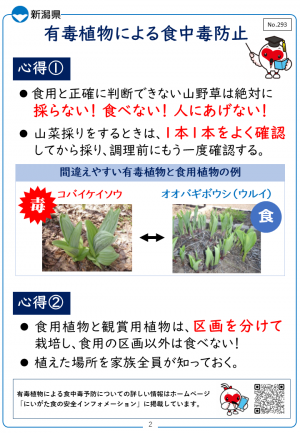 店頭掲示板293_2