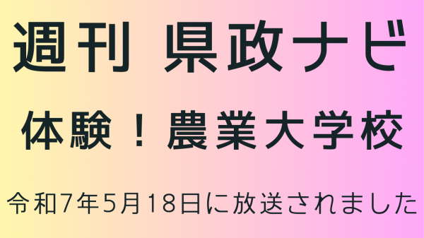 週刊県政ナビ動画