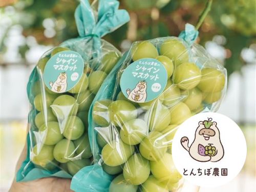 とんちぼ農園キャラクター