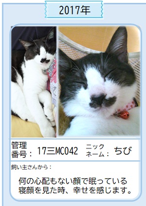 2017 チビ