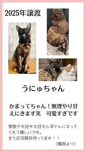 うにゅ