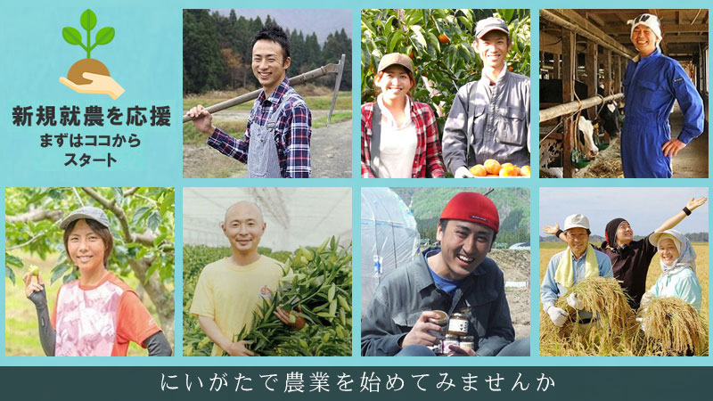 新規就農を応援