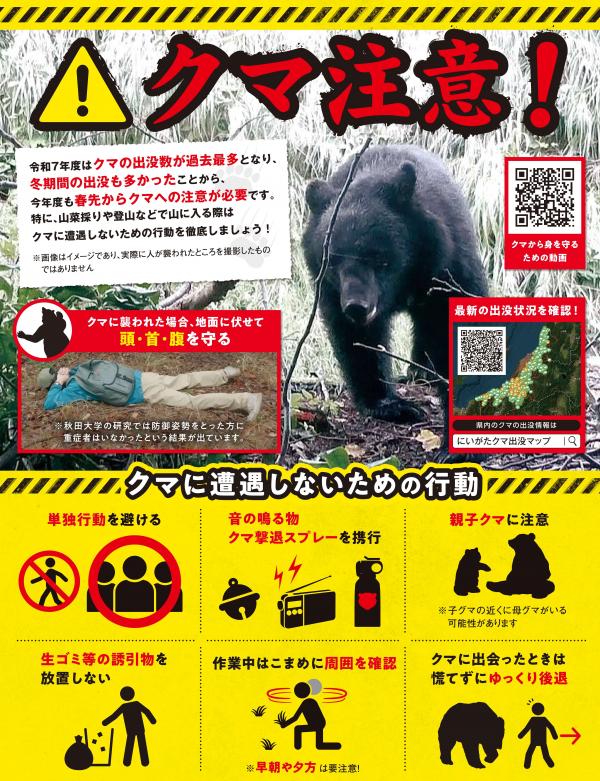 クマに対する注意喚起チラシ（A4カラー）