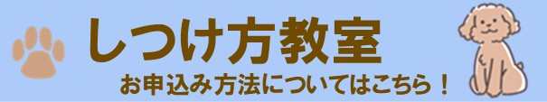 しつけ方教室(お申込み方法についてはこちら)