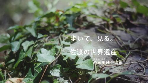 歩いて、見る。佐渡の世界遺産 西三川砂金山編 動画サムネイル画像