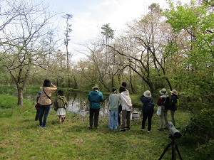 探鳥会の画像