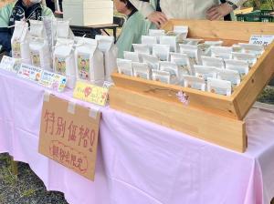 今井地区産米「いまいっ娘」