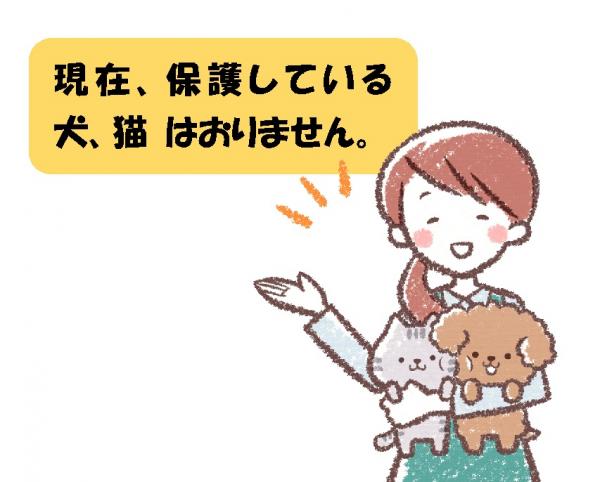 保護している迷子の動物はいません