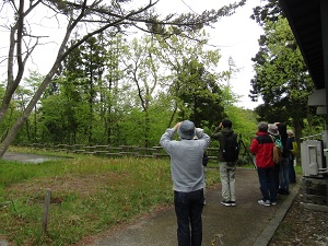 探鳥会の画像