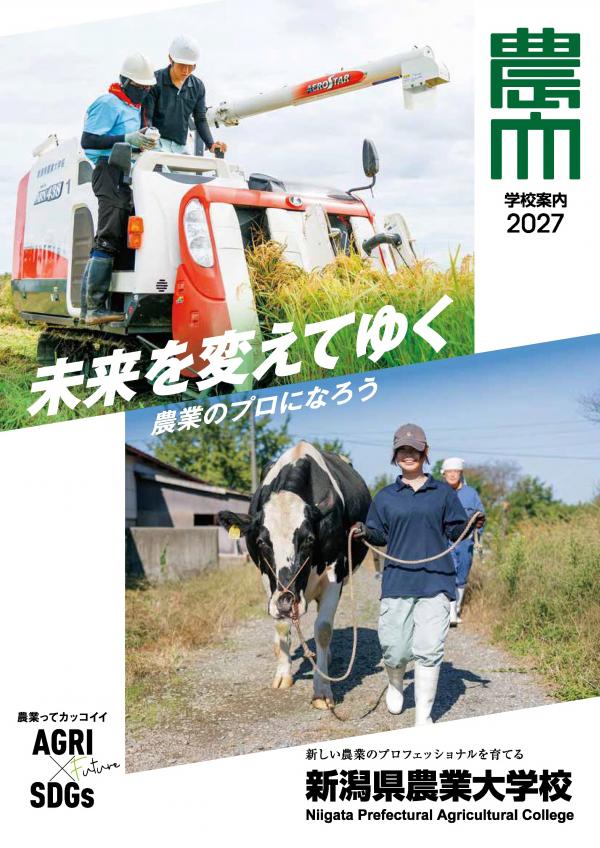 パンフ表紙