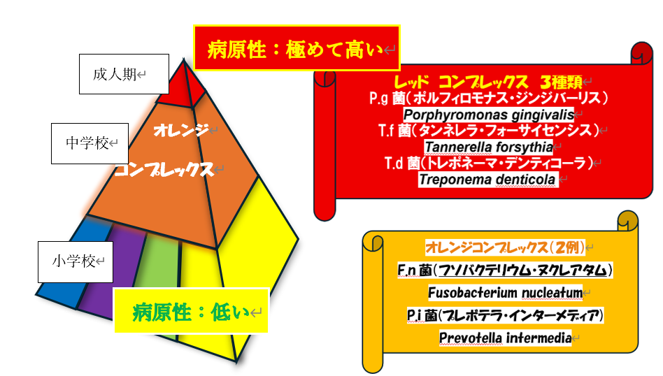 piramido絵