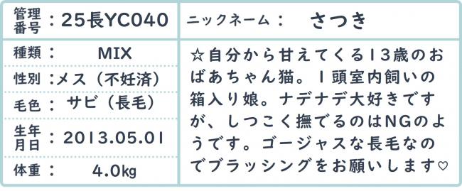 さつき