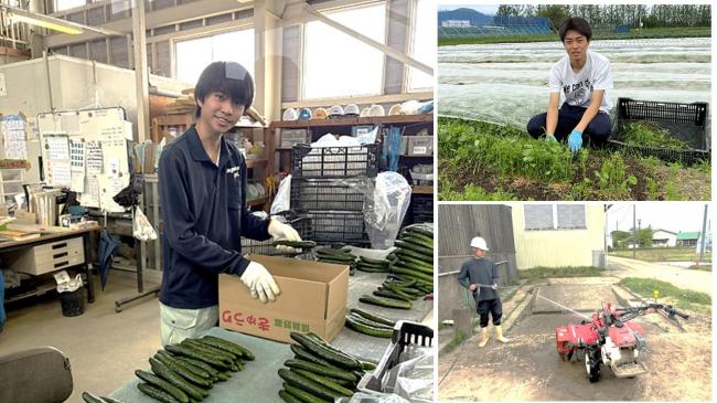 野菜専攻の日々の作業