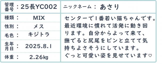 あさり