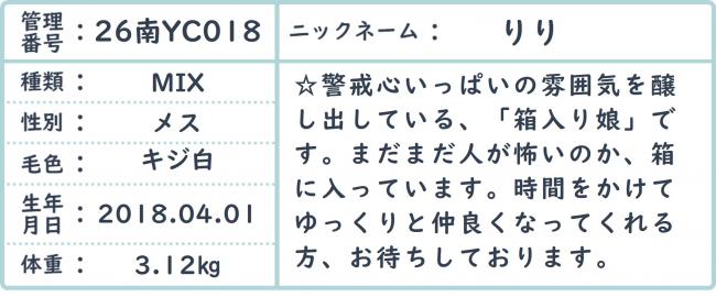 りり３