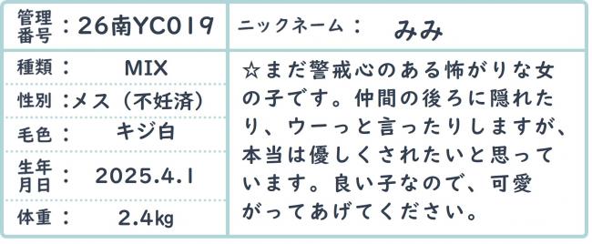 みみ３