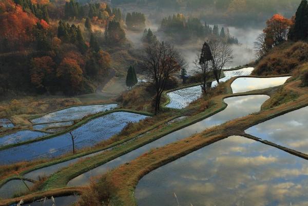 棚田画像