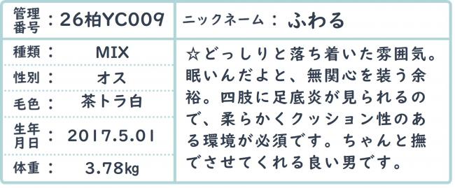 ふわる