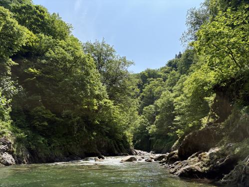 貯水池上流
