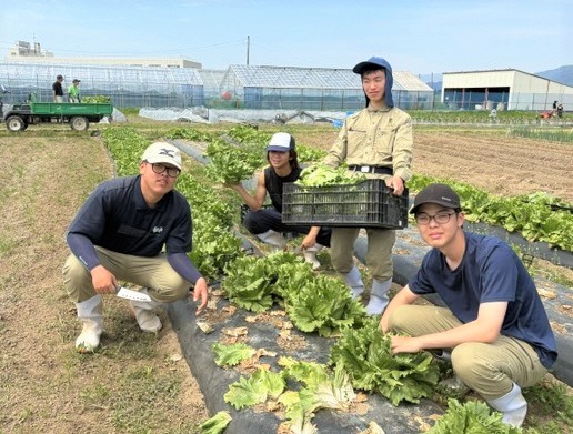 野菜実習