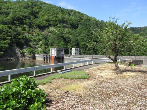 5月25日(月)のダム構内の様子
