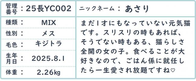 あさり