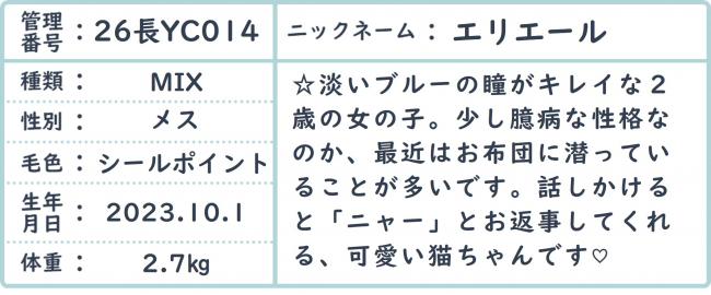 えり