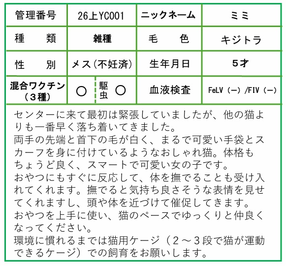 HP用ポップ(26上YC0001ミミ)