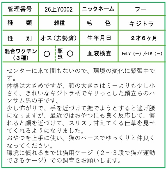 HP用ポップ(26上YC0002フー)