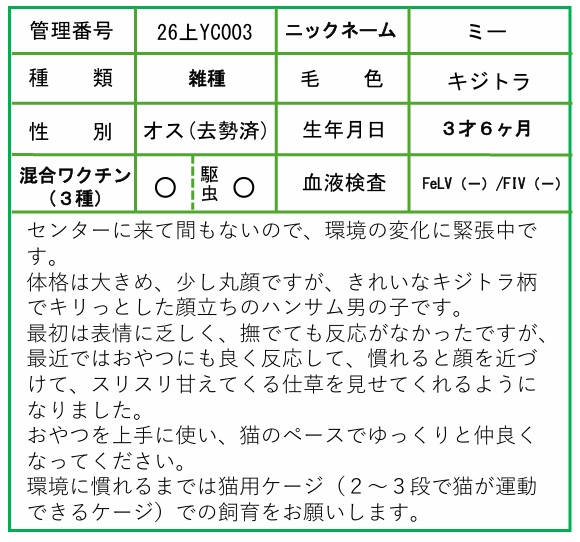 HP用ポップ(26上YC0003ミー)