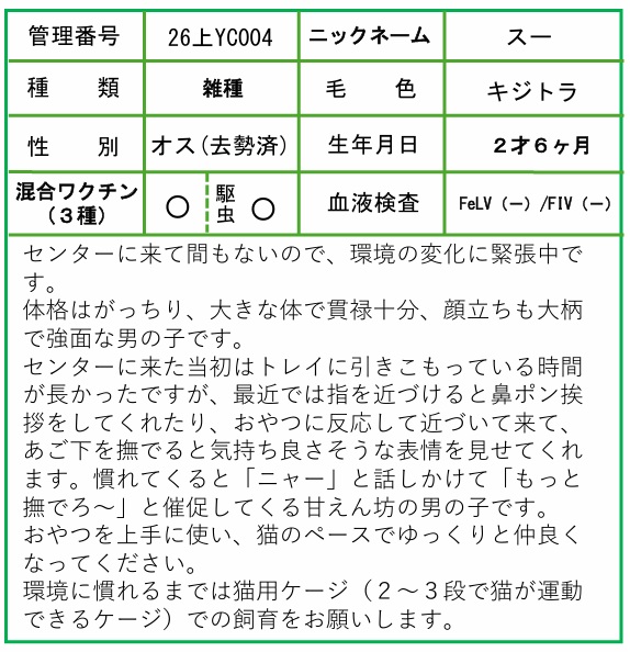 HP用ポップ(26上YC0004スー)