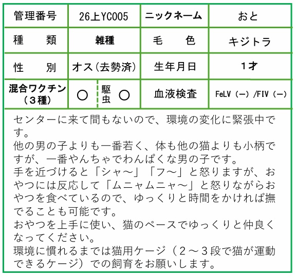 HP用ポップ(26上YC0005おと)