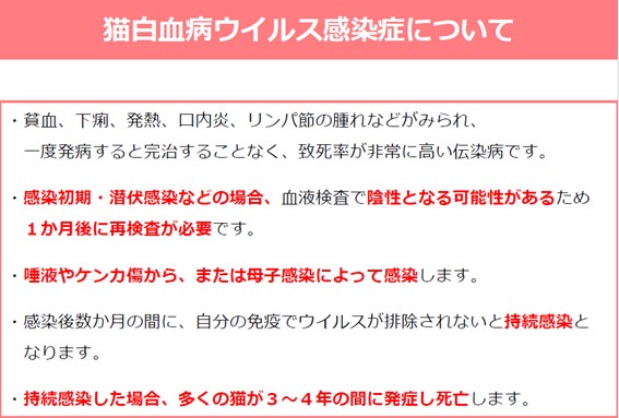 説明