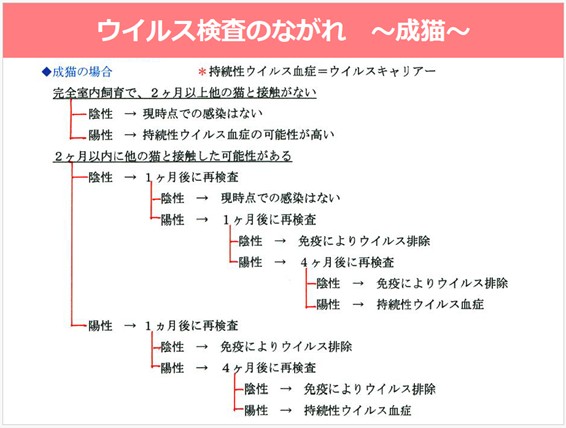 チャート