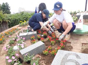 植栽
