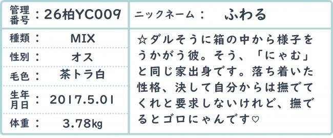 ふわ