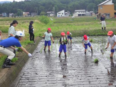 苗を児童にわたす画像